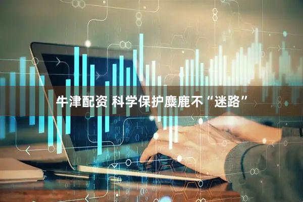 牛津配资 科学保护麋鹿不“迷路”