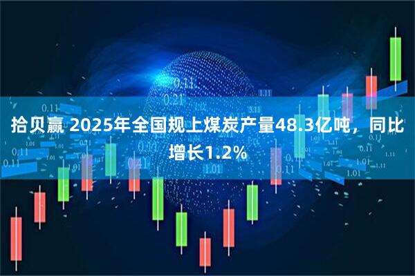 拾贝赢 2025年全国规上煤炭产量48.3亿吨，同比增长1.2%