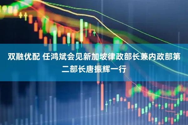 双融优配 任鸿斌会见新加坡律政部长兼内政部第二部长唐振辉一行
